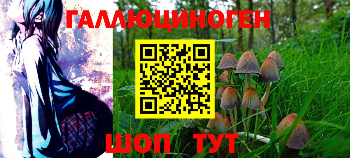 купить наркотик  Вход с VPN  Назрань  Галлюциногенные грибы Magic Shrooms 