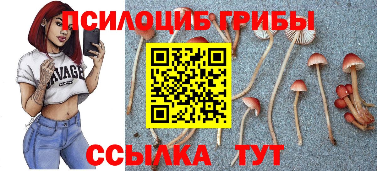 Галлюциногенные грибы GOLDEN TEACHER Назрань